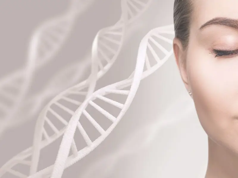 先端医療 関連事業イメージ