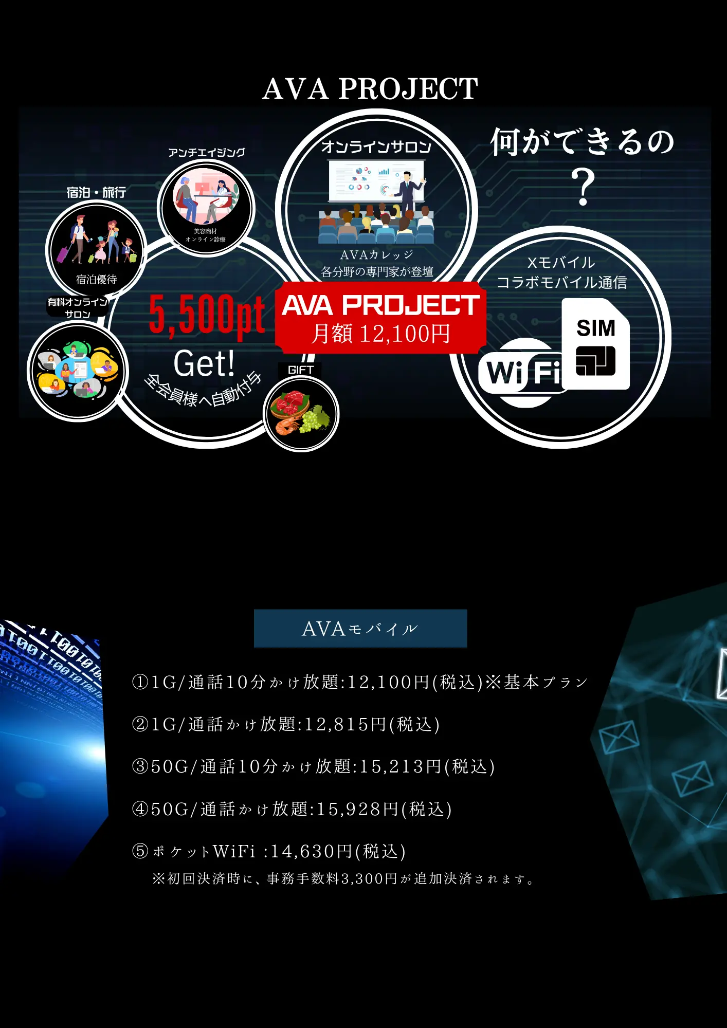 ava_projectチラシ